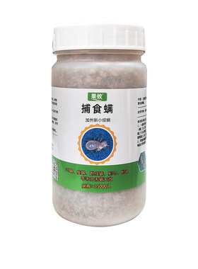 果攸捕食螨红蜘蛛天敌控制效果好