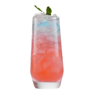 德国进口schott肖特水杯子莫吉托