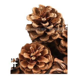 松果装饰松塔松球干花手工diy森林幼儿园环创干树枝野生创意摆件