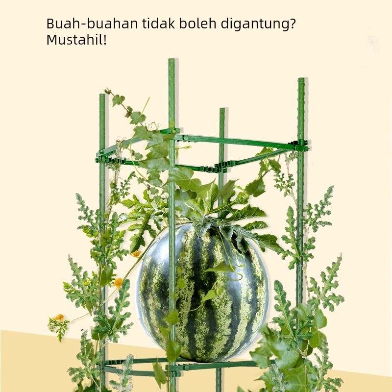 阳台西瓜架子番茄支架三角架豆角黄瓜架子植物爬藤架花拼接支撑杆