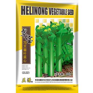 和利农 正源翠宝70天圆叶菜心种子广东农家菜芯种籽南方蔬菜种孑