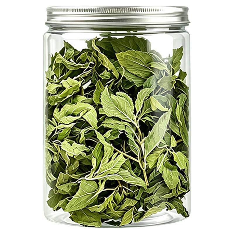 薄荷叶茶干薄荷叶泡茶水喝的东西新鲜可食用清凉凉茶花茶夏季茶叶