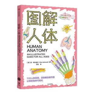 图解代数 图解几何 图解化学 图解人体 图解学科系列4册  肯 阿什威尔等著 中信出版社图书 正版