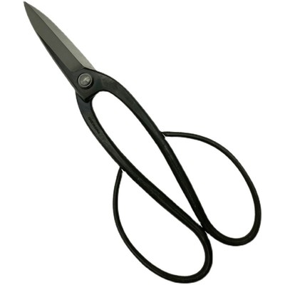 KIKUWA道人足长盆栽日本产