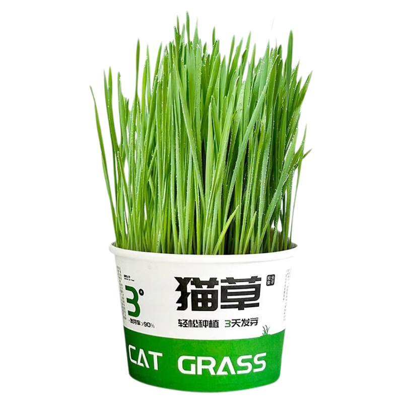 懒人猫草罐头水培无土去毛球片