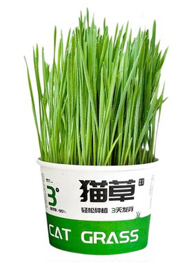 懒人猫草罐头水培无土去毛球片