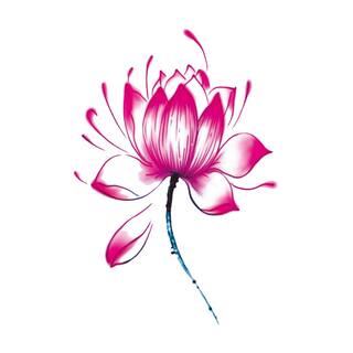 新款纹身贴防水持久女款彩色玫瑰花蝴蝶可洗学生ins非草本半