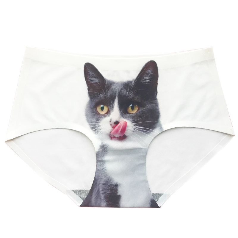 【5条精装】可爱猫咪印花性感提臀学生少女一片式冰丝无痕内裤女