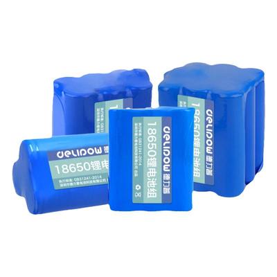德力普12V/24V锂电池组可充电