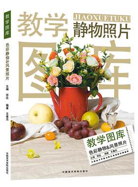 教学图库色彩静物风景照片 中国美院出版水粉画色调色稿照片对应范画临摹范本高联艺考绘画素材美术书名师定制突围入门基础教程材