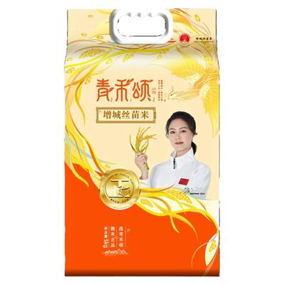 2025新米丝苗米正宗煲仔饭用