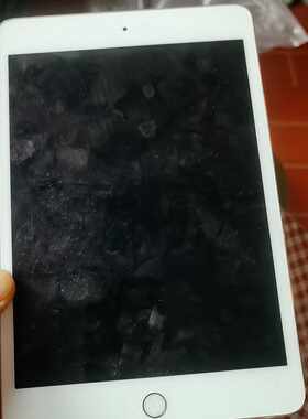 议价可维修iPadmini4WiFi64GB银色Si全新二手均有货