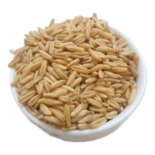 莜麦米甘肃特产新品非燕麦靖远甜胚子材料 莜麦粒油麦子1斤送酒曲