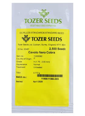 羽麒麟2号皱叶菜种子甘蓝禾之元