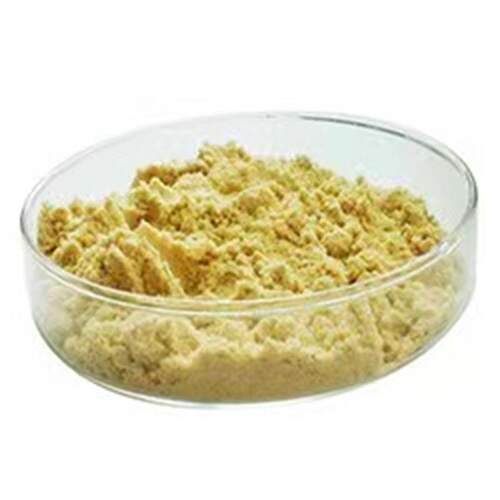 纳豆冻干粉含高活性纳豆激酶国产即食纳豆菌粉原味纳豆粉盒装纯粉