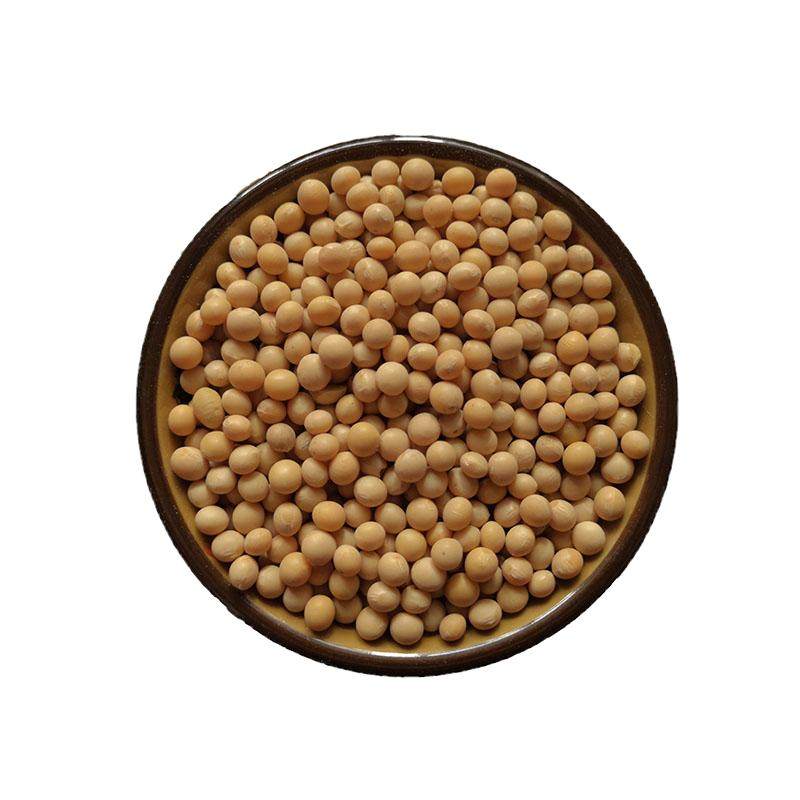 东北农家自种极小粒黄豆生豆芽纳黄豆