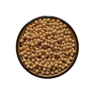 东北农家自种极小粒黄豆生豆芽纳豆专用出芽率98%杂粮豆新货包邮