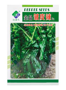 麻辣椒蔬菜种植香辣辣椒种子