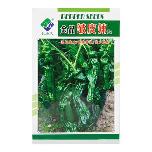香辣皱皮辣椒种子薄皮辣椒麻辣椒种籽中辣四季种植盆栽籽种蔬菜孑
