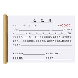 欠条本欠款单欠款条正规借条借款清单凭证欠据欠个人货款单据二联