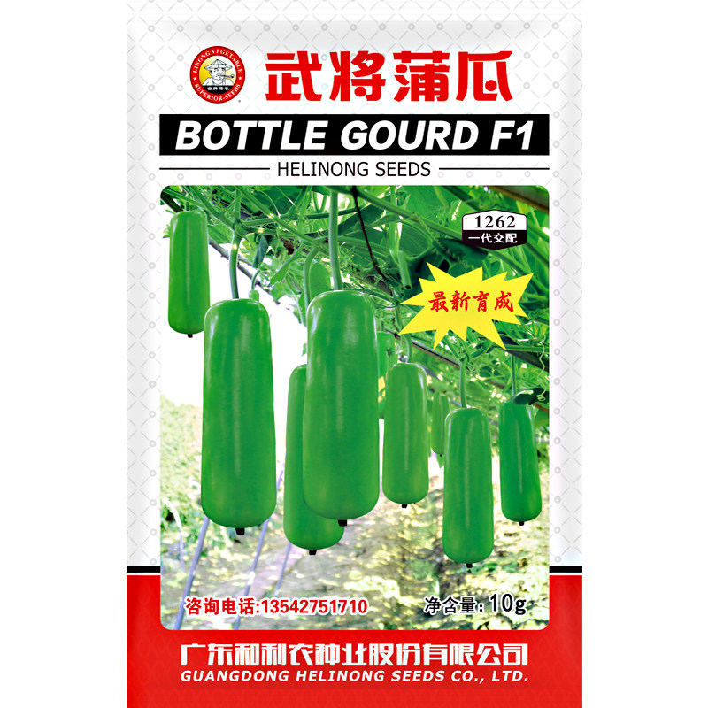 蒲瓜四季葫芦蔬菜瓠子