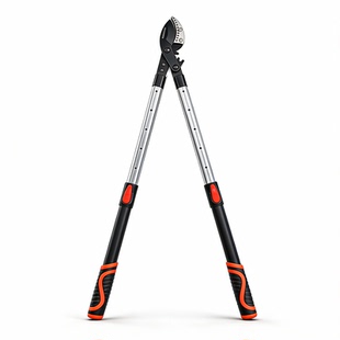 德国进口园林工具剪粗枝剪果树修枝强力树枝剪大力剪省力修剪神器