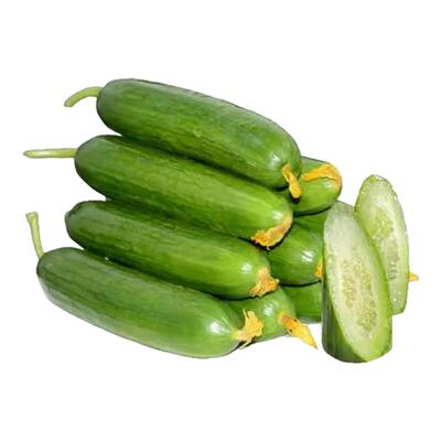 新鲜水果黄瓜生吃当季