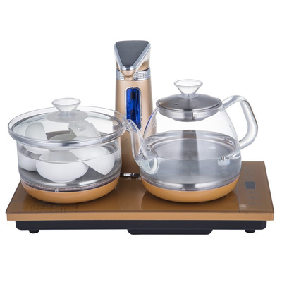 110v玻璃消毒锅煮茶器台式烧水壶