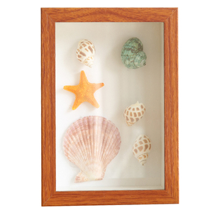 中空相框3cm5cm摆台立体标本框diy手工贝壳干花植物鲜花展示收藏