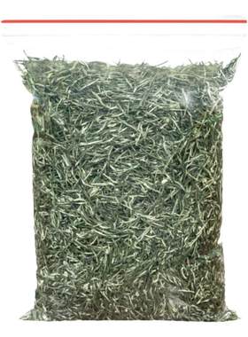 信阳毛尖2026新茶叶雨前嫩芽250g