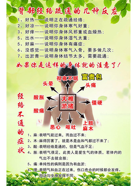 美容中医养生馆宣传会所墙壁画