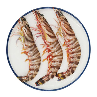 特大号东海野生竹节虾新鲜鲜活船冻九节虾海鲜舟山海捕斑节虾