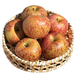 2025四川盐源大凉山冰糖心丑苹果新鲜水果当季整箱10斤包邮红富士