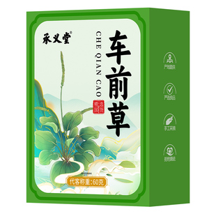 车前草茶包干货搭野生药中正品新鲜尿酸茶高泡水喝材降酸袋泡茶干