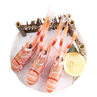 新西兰螯虾2号1kg11-15只