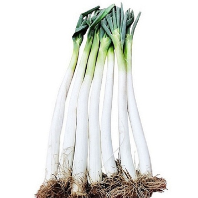 山东大葱新鲜蔬菜高白脆甜特好吃