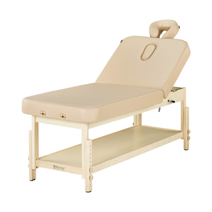 名腾Master哈维提克美容院专用美容床推拿理疗床美容床按摩正骨床