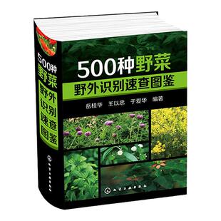 500种野菜野外识别速查图鉴 野菜识别特征实用方法 中医草药材识别图大全 生活常识中草药有毒植物识别图集 自然科学植物学图书籍