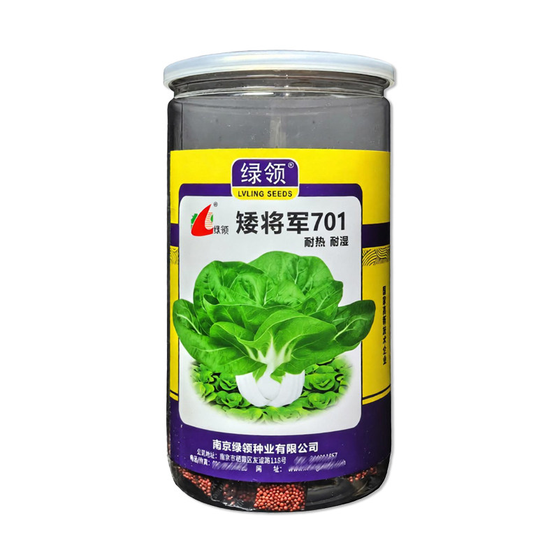 绿领矮将军701矮脚白菜种子