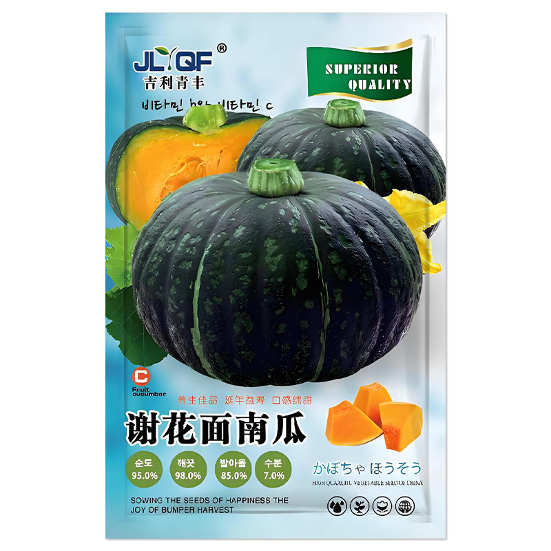 谢花面南瓜种子东北窝瓜种籽