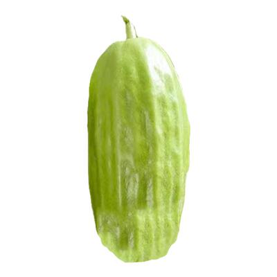 早熟丰产皮薄酥脆脆瓜种子