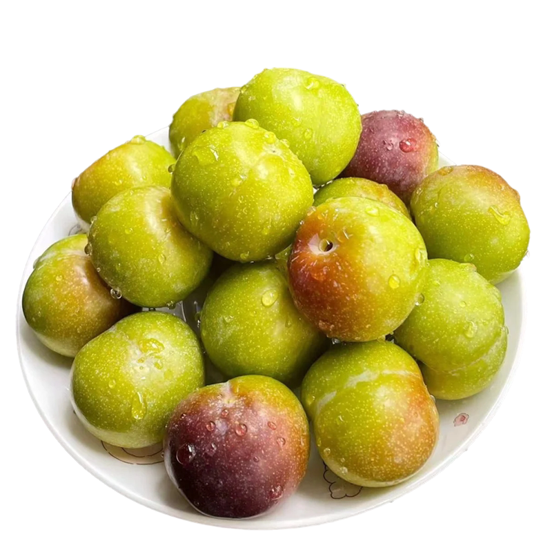 蜂糖李子树苗新品种正宗贵州嫁接三华果树果苗庭院盆地栽当年结果