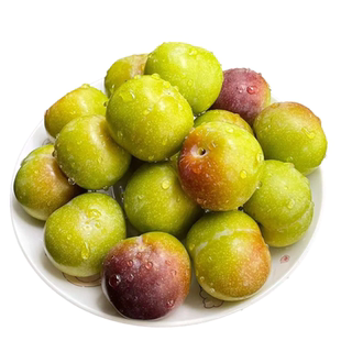 蜂糖李子树苗新品种正宗嫁接三华南北方种植庭院盆栽种植当年结果