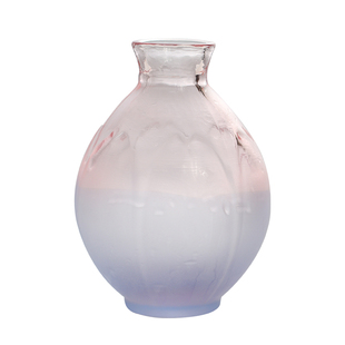 日本进口Hirota广田硝子樱花酒具手工玻璃酒壶清酒杯樱花点心碟