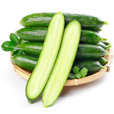 水果小黄瓜力荐5斤包邮