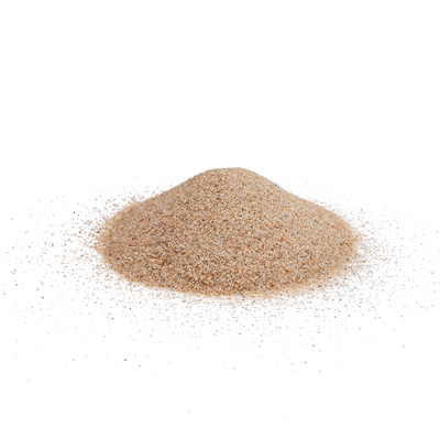 1斤天然海沙儿童跳远沙鱼缸造景底砂乌龟螃蟹寄居蟹冬眠铺垫海沙