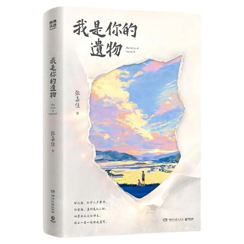 我是你的遗物张嘉佳新书