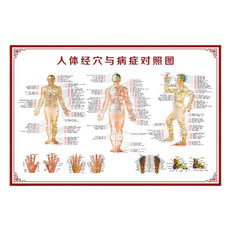 人体经络穴位图大挂图全身标准高清中医艾灸推拿按摩针灸养生馆画