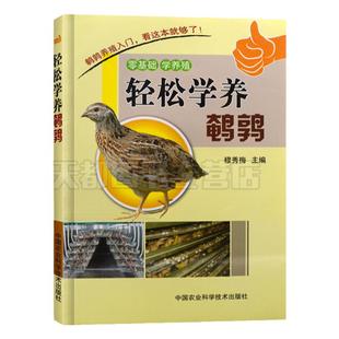 鹌鹑养殖技术书轻松学养鹌鹑高效养蛋用鹌鹑养殖关键技术建厂安全疾病诊断与防治技术养殖书籍大全饲料配制饲养管理高效繁殖技术书