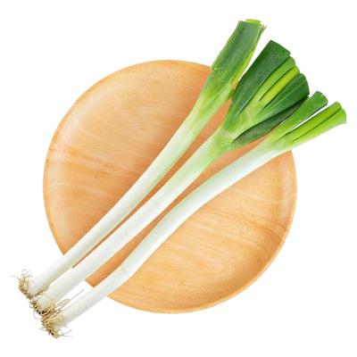 有机大葱新鲜正宗山东大葱无农残